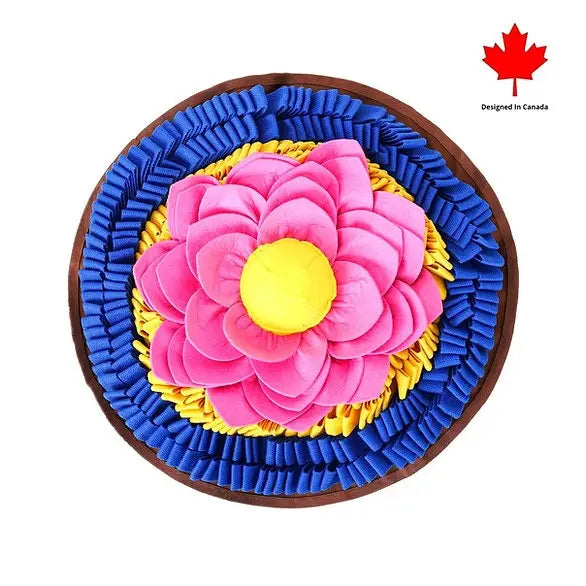 - Foldable and portable cat bagDivine Lotus™ Anti-Bite Snuffle Mat | Challenge Level 3