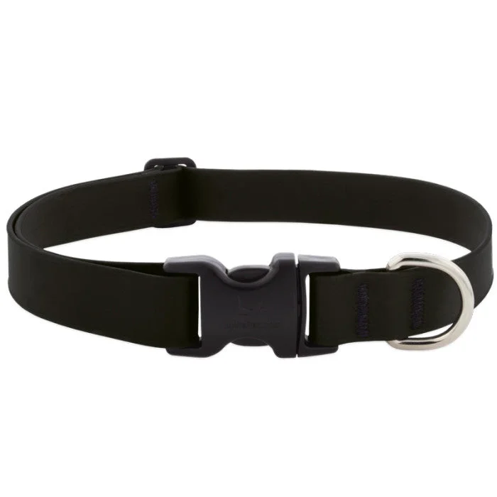 - Pregnant cat delivery room warming boxSplash Waterproof Dog Collar 16"-28", 1" Wide - Jet Black