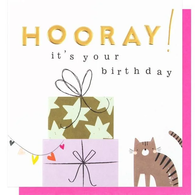 - Pet fence foldable indoorCaroline Gardner Hooray Birthday Card