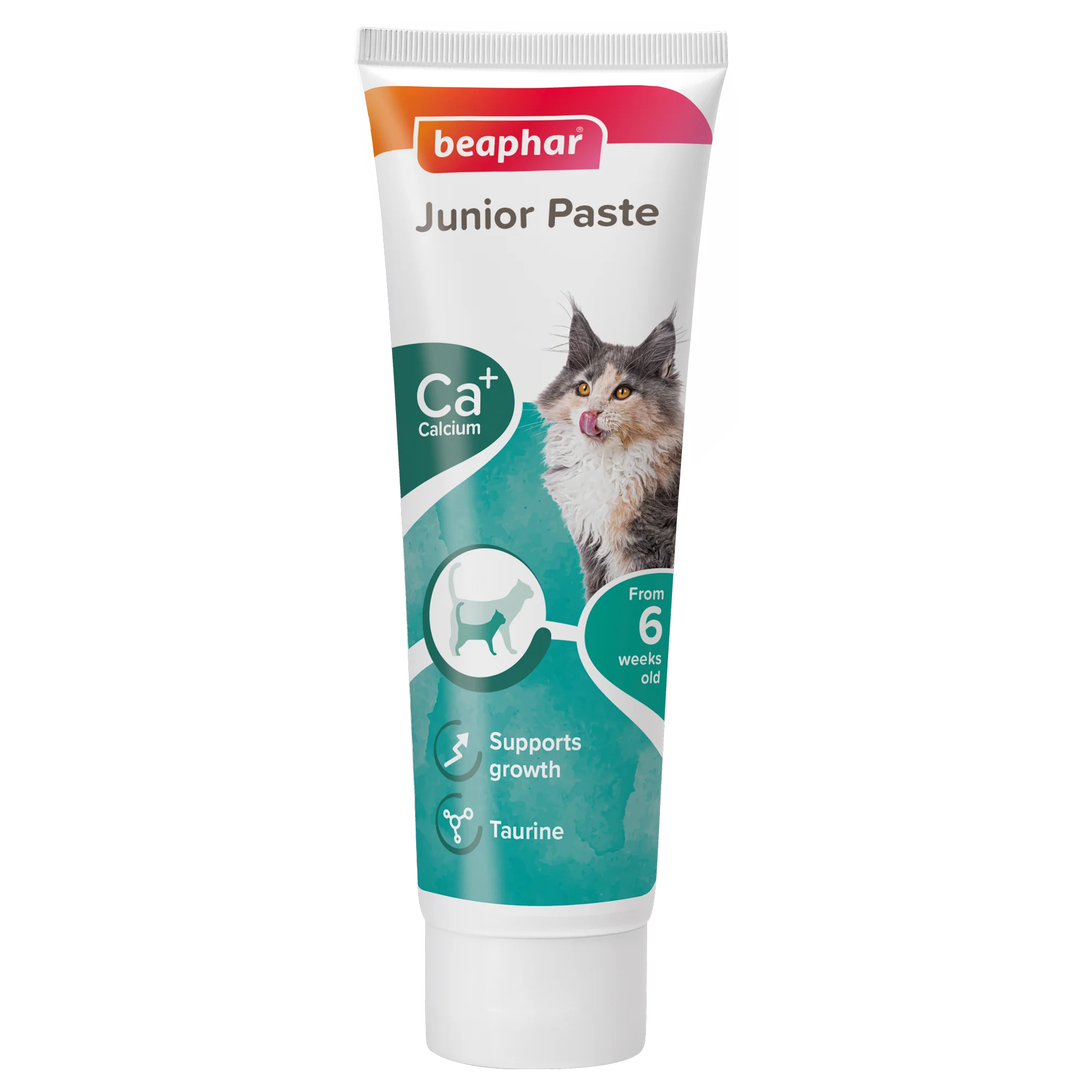 - Degradable pet feces bagBeaphar Duo Active Paste For Junior Cat 100g