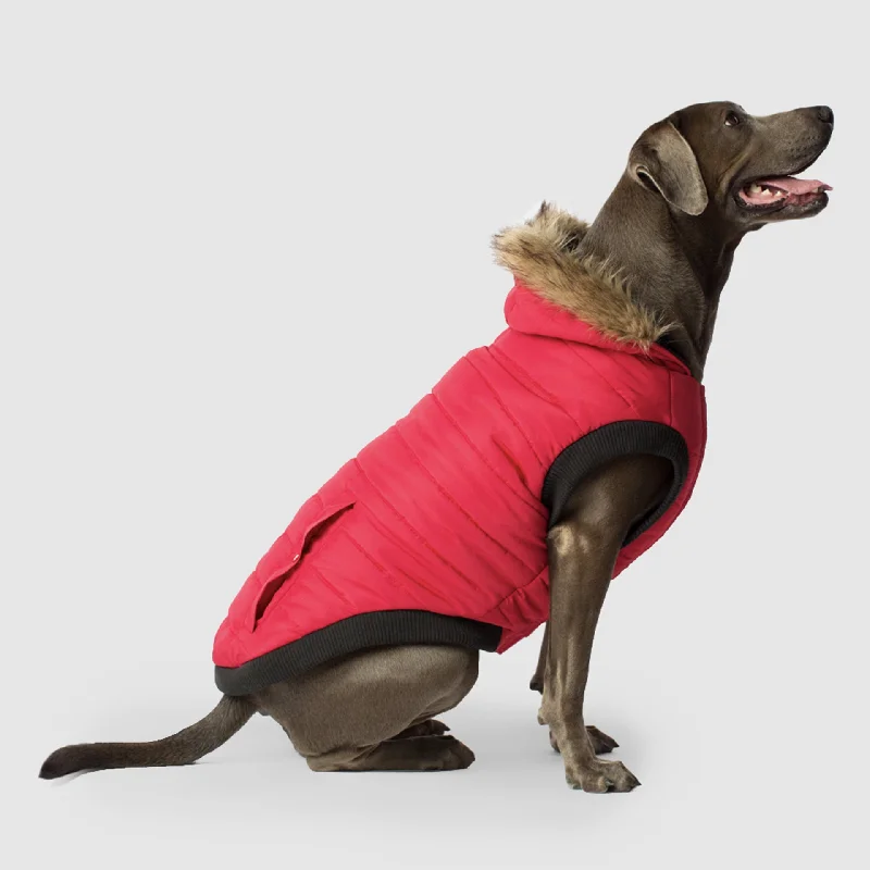 Dog clothesNorth Pole Parka