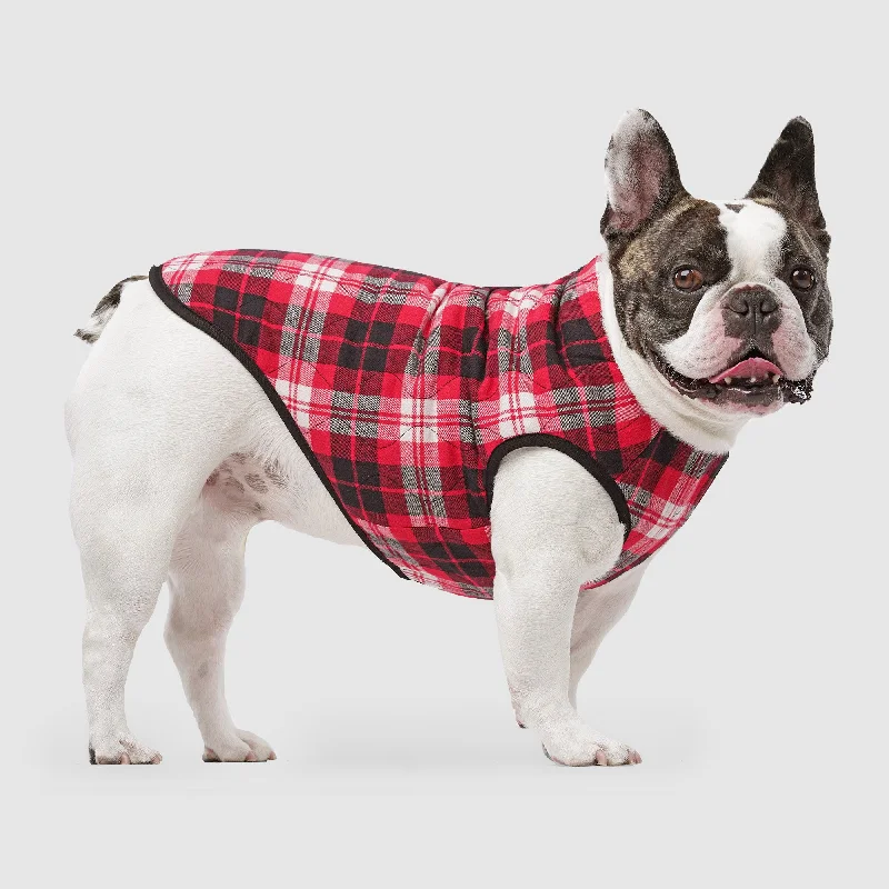 Pet night clothes with LED lightsReversible Vest